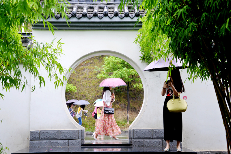 雨中即景